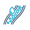 Lipid